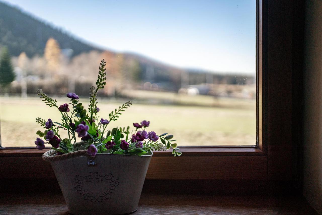 Apartamenty Bogowka 11 Zakopane Exteriör bild